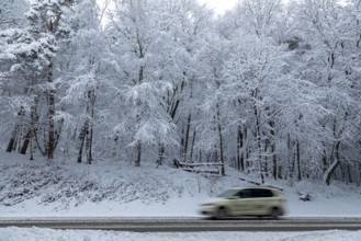 Car, taxi driving through snowy landscape, trees, winter, snow, Sieversen, Samtgemeinde