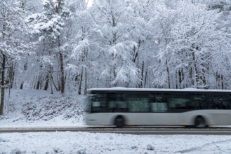 Bus drives through snowy landscape, trees, winter, snow, Sieversen, Samtgemeinde Rosengarten, Lower