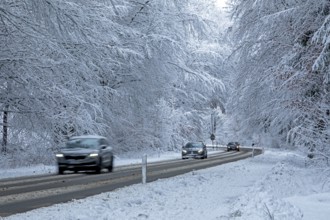 Cars driving through snowy landscape, trees, winter, snow, Sieversen, Samtgemeinde Rosengarten,