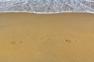 Soft surf on beach, coastline, footprints, Provincetown, Race Point Beach, Cape Cod National