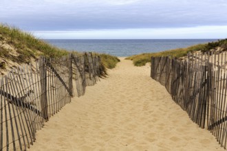 Sand path leads through dunes to sea, beach landscape with wooden fence, dune protection, cloud