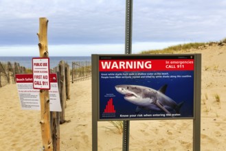 Information board, signs warning of white sharks, safety, emergency call, coastline, Provincetown,