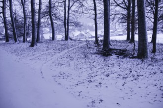 Snowy forest trail with a view of a village in the background, Siegen