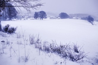 Snow-covered wide plain with a view of a village and surrounding trees, Siegen