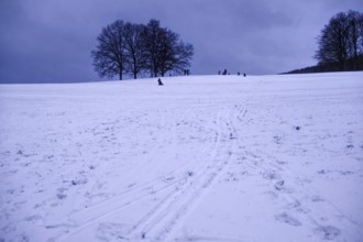 Snow-covered hill with people riding sledges under grey sky, Siegen