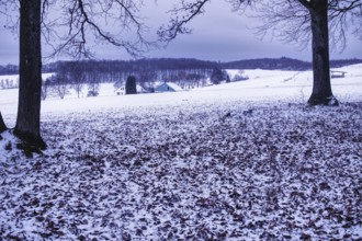 Snowy field with two big trees and a hut in the distance, Siegen