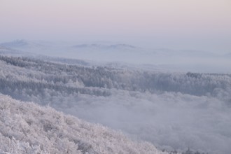 Snowy range of hills with frosty trees in the morning light, Hermannsweg an der Steinegge, Dissen