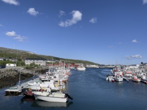 Several fishing boats and boats with outboards in Batsfjord harbour, blue sky, mountains in the