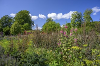 A picturesque garden with flowers and a rural house in the background, the colorful cottage garden