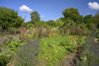 Colourful A picturesque garden with flowers and a rural house in the background, the colorful