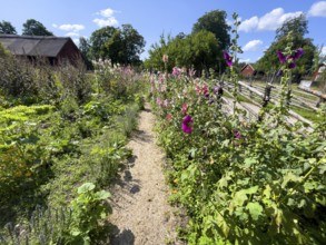 A path along the colorful cottage garden of the famous botanist and taxonomist Carl von Linne with