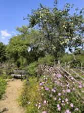 A path along the colorful cottage garden of the famous botanist and taxonomist Carl von Linne with