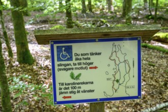 Information sign in the forest with reference to barrier-free hiking trails, Asnen NaaionalPark,