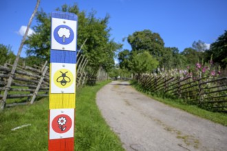 Colourful wooden signpost along a narrow garden path under clear blue sky, path along the cottage