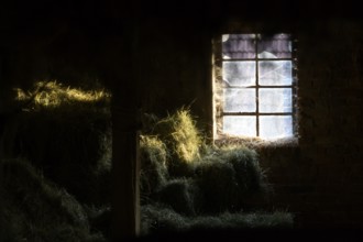 A hayloft with cobwebs in the window, illuminated by incoming sunlight in a dark environment, East