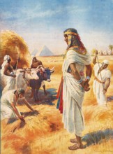 Scene from the biblical story, the rich harvest in Egypt, authentic reproduction of a school mural,