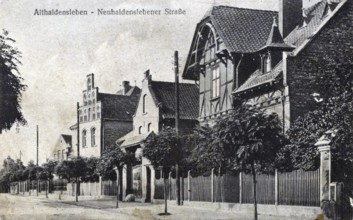 Althaldensleben, Neuhaldenslebener Straße, Börde district in Saxony-Anhalt, Germany, postcard, view