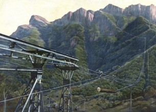 Cable car to transport timber in Cameroon, Africa, A cable car mechanism transports wood through a