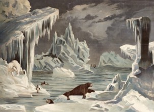 Polar landscape with icebergs and a seal, Arctic, North Pole, arctic scene with icebergs, walruses