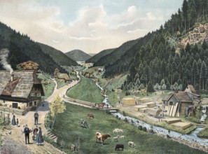Valley in the Black Forest, Baden-Württemberg, Germany, rural scene in a valley with a flowing