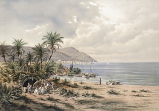 Carmel Mountains, Carmel or Carmel and the city of Haifa, Israel, beach landscape with palm trees