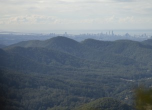 Clear blue sky with an open view over dense subtropical rain forest Gondwana, captured from the