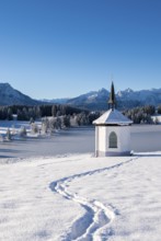 A small chapel stands on a snowy meadow against a mountain backdrop under clear, blue sky,
