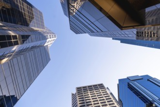 Low angle view of modern skyscrapers in calgary, alberta, canada, showcasing their impressive