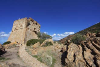 Genoese Tower of Porto, Ota, west coast of Corsica, Corse-du-Sud, Corsica, France