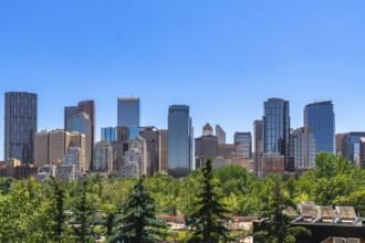 Modern skyscrapers rise above a foreground of lush green trees in calgary, alberta, canada,