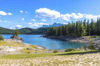 Turquoise waters of lake minnewanka reflecting a sunny sky with fluffy clouds, surrounded by lush