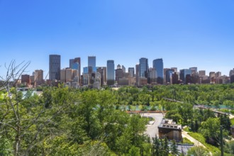 Calgary's impressive skyline dominates the horizon, rising above a lush green park and the bow