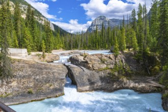 Turquoise water of bow river flowing underneath the natural bridge rock formation on a sunny summer