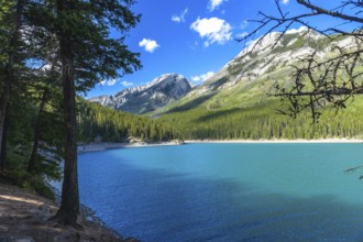 Sunlight illuminating the turquoise waters of lake minnewanka reflects the majestic canadian