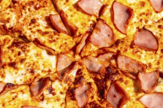 Slices of savory ham resting on a freshly baked pizza highlight a cheesy delight, embodying a