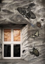 Kiefernstraße, residential street of the left-wing alternative scene with street art on house