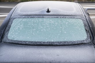 Auto Heckscheibe Frost, Lugano, Tessin, Switzerland