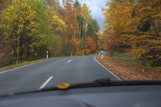 Herbstwald an der Bundestraße 2, View from the car, Gräfenberg, Upper Franconia, Bavaria, Germany