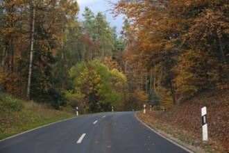 Herbstwald an der Bundestraße 2, Gräfenberg, Upper Franconia, Bavaria, Germany
