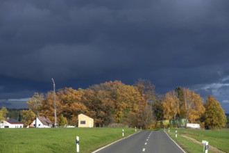 Stormy sky with autumn trees, Neunhof bei Lauf, Middle Franconia, Bavaria, Germany