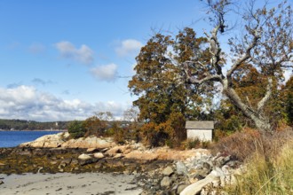 Shoreline, Indian Summer, Gloucester, Cape Ann, Massachusetts, New England, USA