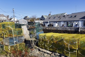 Stacked lobster traps, colorful lobster baskets on the wharf, traps, traditional buildings, Bradley