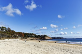 Sandy beach beach, Cumulus, strollers with dogs in autumn, Singing Beach, Manchester-by-the-Sea,