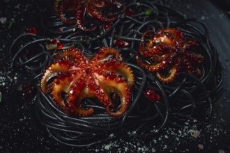 Black spaghetti with baby octopuses, homemade, no people