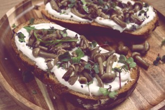 Sandwiches with cream cheese and pickled honeydew, healthy breakfast, homemade