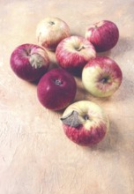 Apples scattered on the table, selective focus, yellow - red, summer variety, early, no people