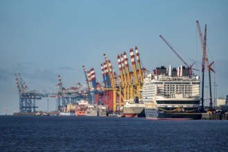 Disney Adventure cruise ship at Bremerhaven Cruise Port, MSC and Eurogate container terminal at