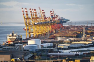 MSC and Eurogate container terminal in the seaport of Bremerhaven, Eurogate container terminal with