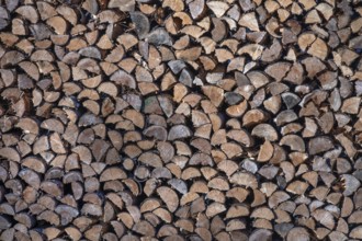 Stacked firewood, Franconia, Bavaria, Germany