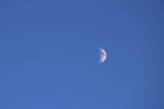 Half moon in early, blue evening sky, Bavaria, Germany
